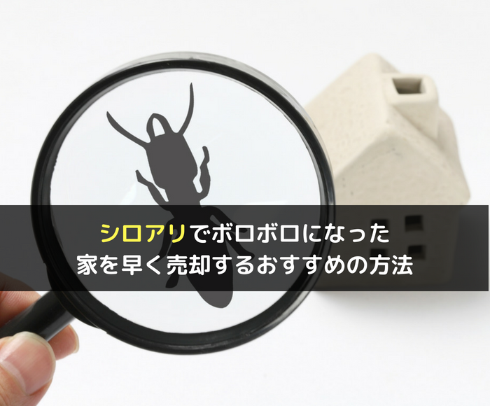 シロアリでボロボロになった家を早く売却するおすすめの方法 不動産の書 家に関することから土地や空き家の活用法を紹介